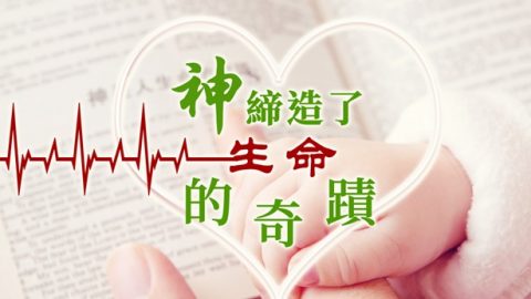 神缔造了生命的奇迹