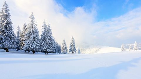 效法约伯　顺服神安排