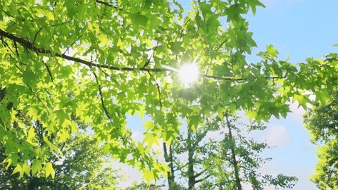 神的審判洁净了我